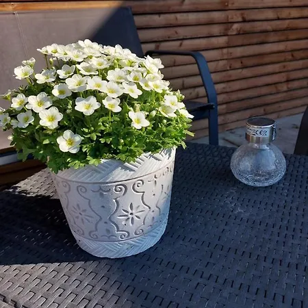 Lejlighed Casa Marlu